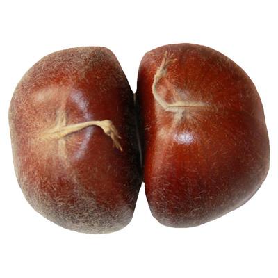 2025年【不掺假】迁西生板栗新鲜