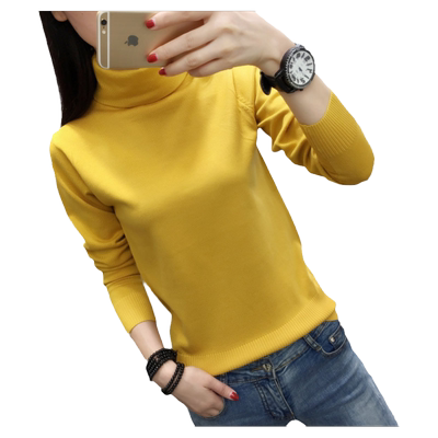 衫女长袖内搭韩版短款高领毛衣