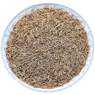 葛缕子500克/250g/50g 藏茴香籽Caraway革楼孑西餐增香香料调料包