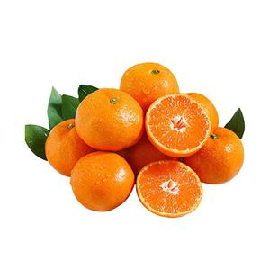 坏果包赔！新余蜜桔40-60mm带箱5斤装