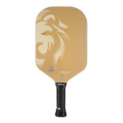 JOOLA/匹克球拍板专业球拍碳纤维
