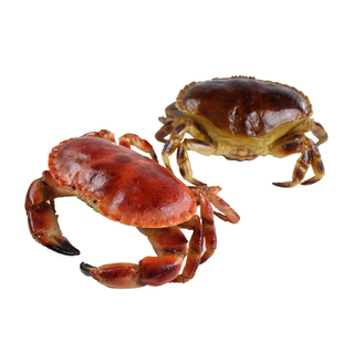 仿真面包蟹模型螃蟹仿真大闸蟹食品模型海鲜水产膏蟹模型道具