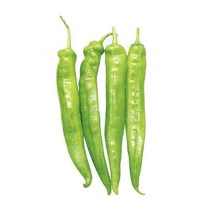 牛角椒种子辣椒苗薄皮青椒种籽大果尖椒辣椒四季蔬菜早熟高产包邮