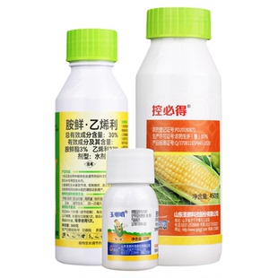 30%胺鲜酯乙烯利玉米茎秆粗壮缩节控旺抗倒伏矮壮调节生长农药