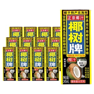 椰树椰汁饮料正宗椰树牌植物蛋白245ml*6盒*2组海南特产