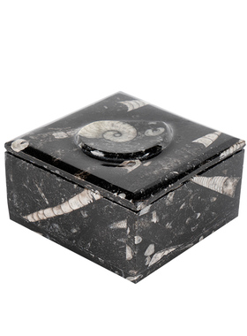 客厅收纳化石盒子乔迁新居送礼