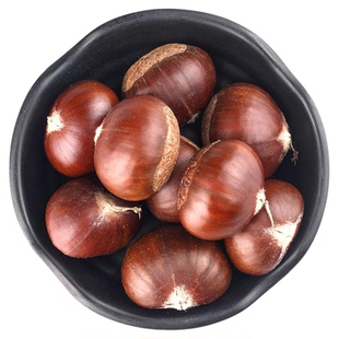 迁西生板栗生吃野生毛栗子农家现摘油栗板栗 甜度好