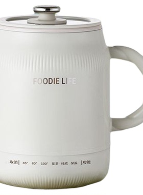 电炖杯陶瓷油电煮杯不锈钢电热杯办公室养生杯电煮锅炖煮调温烧水