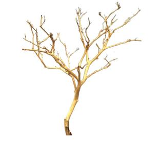 干树枝造景干枝树干许愿树枯树室内庭院造型树枝干原木树枝装饰树