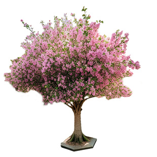 海棠树苗庭院地栽高杆西府垂丝北美海棠花果树苗耐寒植物盆栽花卉