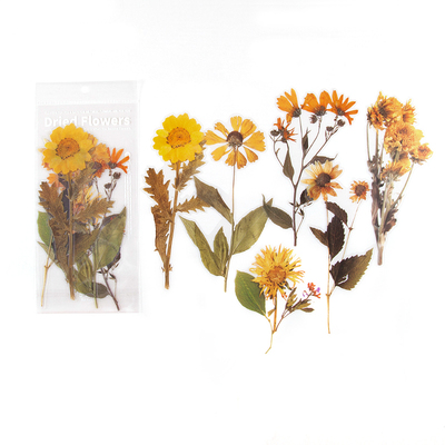 植物花卉pet手机贴纸周末花店