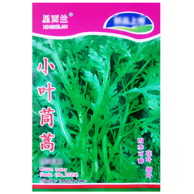 容易种植小叶茼蒿种子四季播种