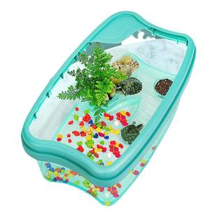 小乌龟活宠物观赏家养中华草龟珍珠巴西花龟小型家养幼龟苗耐活体