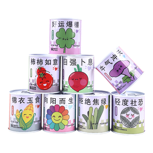 创意植物礼物种植桌面绿植趣味幼儿园儿童迷你盆栽活动罐头花盆栽