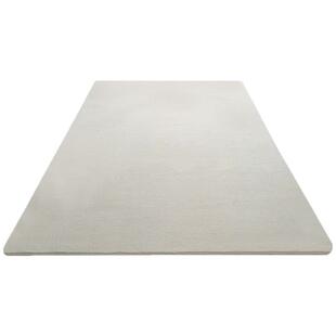 地毯白色客厅2026新款加厚卧室床边垫可睡可坐纯色主卧床前毯全铺