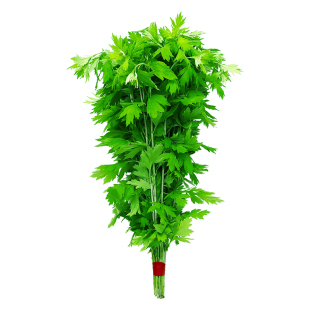 端午节艾草门挂件新鲜整颗挂饰DIY整株长艾草叶花束材料包驱蚊子