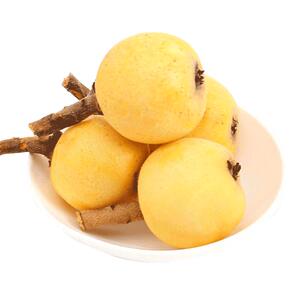 顺丰次日达丨莆田白玉枇杷精品果