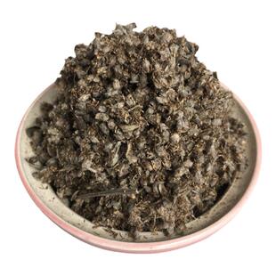 湖北蕲春原产地艾草种籽庭院种植药用非野生蕲艾药材艾蒿艾叶种子