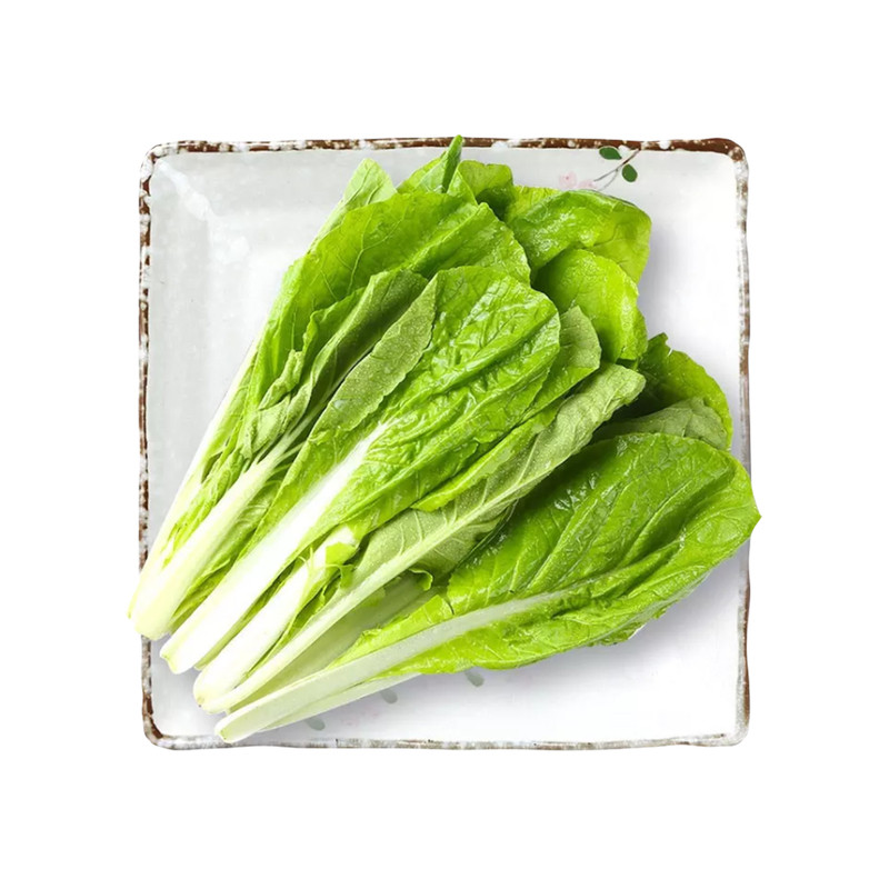 有机小白菜新鲜农家青菜鸡毛菜快菜绿叶青菜清炒火锅食材健康蔬菜