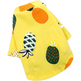 菠萝情侣泰迪衣服夏装薄款宠物春天夏季狗狗裙子猫咪小型犬比熊