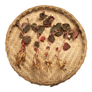 金线莲中药材500克干品福建南靖金钱连林下种植非野生养生茶山男