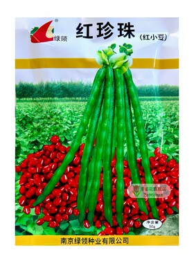 【50g装】正宗红珍珠红小豆种子