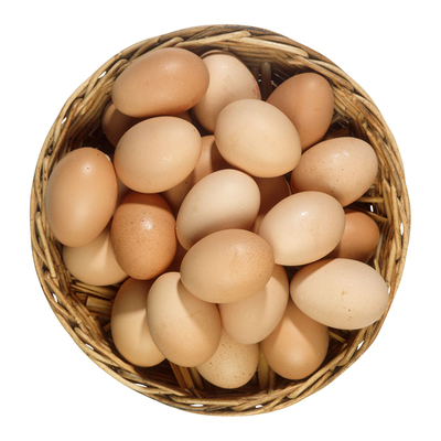 55gx6枚可生食鸡蛋营养早餐元气