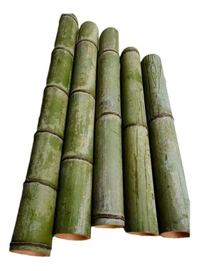 重庆现做插花筒灯饰楠竹