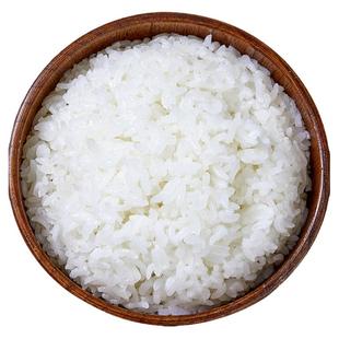 千石谷冲泡方便米饭白饭免蒸免煮速食米包泡饭自热大米宿舍食品