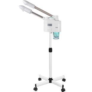 泰东美容院冷热喷雾机热喷仪美容院专用可加药包双喷仪器蒸脸器