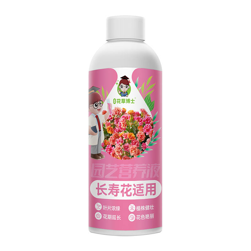 长寿花专用肥料促开花