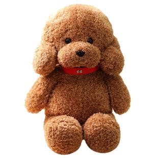 泰迪狗公仔毛绒玩具狗狗玩偶仿真小狗少女心安抚布娃娃睡觉抱女生