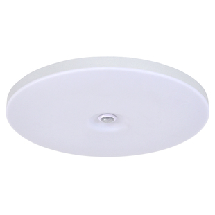 人体感应吸顶灯三防声光控雷达入户门灯具楼道人来即亮走廊车库灯