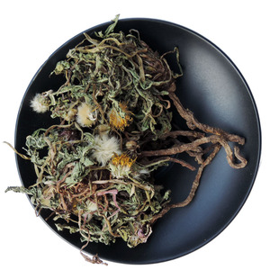 蒲公英中药材2025年蒲公英根茶新鲜婆婆丁干品深山蒲公英晒干500g
