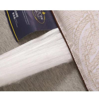 加厚保暖丝棉被芯冬天冬被双人单人春秋被秋季冬被8/10斤冬季被子