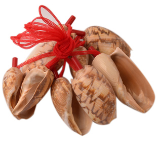 海螺贝壳哨子自然棕花色大号螺号发声幼教认知儿童玩具幼教娱乐长