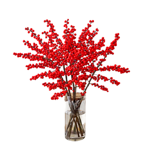 北美冬青红果鲜枝客厅银柳年宵花卉绿植室内水培植物鲜花切枝真花