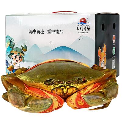 【活蟹】三门青蟹鲜活特大螃蟹大红膏蟹母蟹超大黄油蟹海鲜礼盒