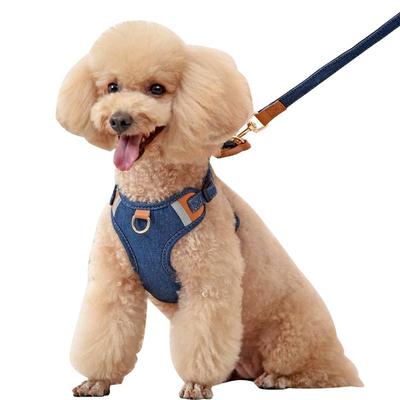 歌照狗狗牵引绳小型犬狗链子牛仔