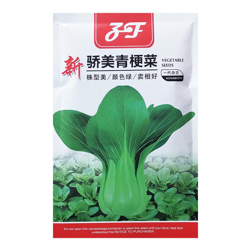 青梗菜种子新骄美矮脚亮绿四季
