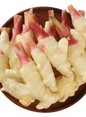 嫩姜仔姜子姜新鲜现挖鲜姜芽山东红芽嫩生姜非小黄姜批发糖醋泡姜
