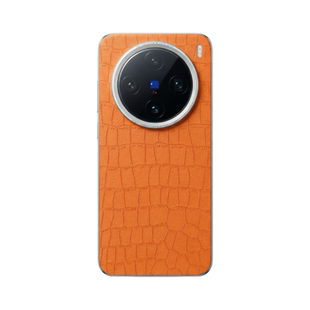 适用vivox200s素皮膜vivo X200 Pro Mini背膜vivo X200Pro 机素皮膜vivoX200Ultra个性压纹皮革后盖保护膜