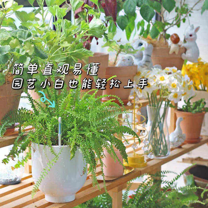 花信水分计SUSTEE土壤水分计植物水份计湿度计检测仪养花懒人浇水