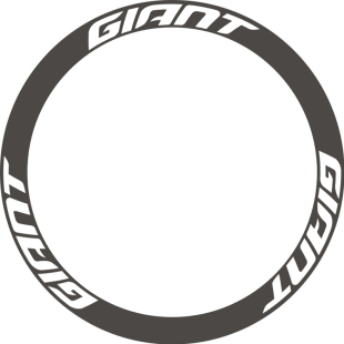 公路车轮组碳刀圈贴纸太阳网环法车队版防水贴反光贴定制TCR/SLR
