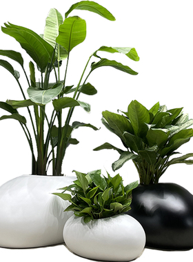 恐龙蛋造型石头花盆户外绿植花器