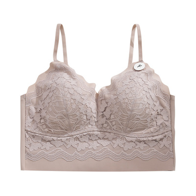 黛美芮性感无钢圈聚拢美背文胸女