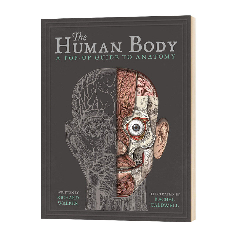 身体构造 英文原版立体书 The Human Body 英文版儿童身体健康教育科普 立体书翻翻书绘本 进口原版英语书籍