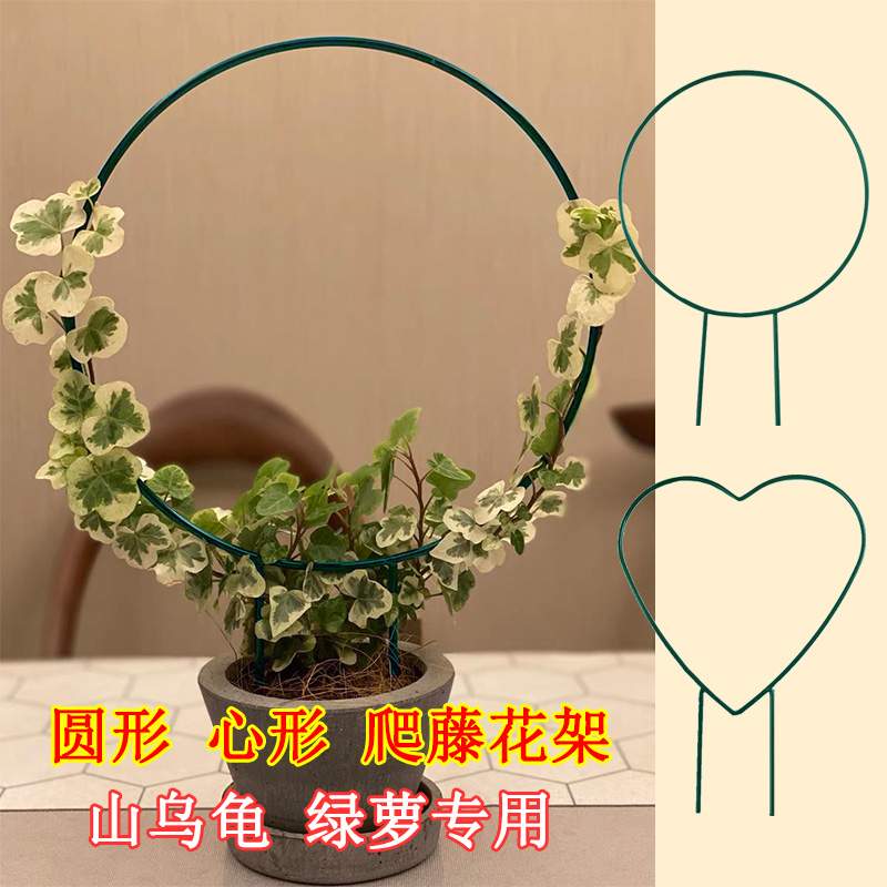 室内铁艺圆形心形雪莹黄金葛山乌龟甲龙铁线 线莲花架爬藤架子植