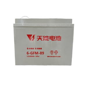电动叉车电池中力小金刚6-GFM-85
