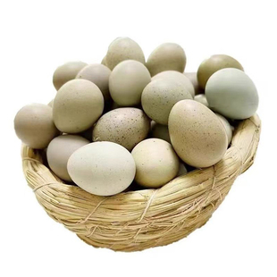 芦丁鸡受精蛋可孵化白色黑白礼服家用精品的幼鸡蛋迷你观赏卢丁鸡